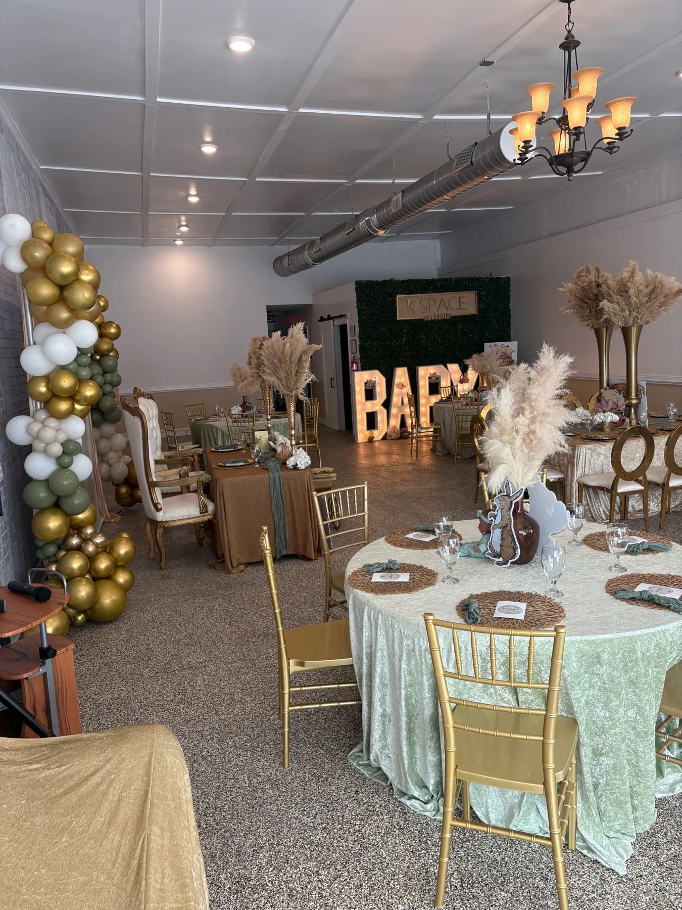Baby Shower Room 2